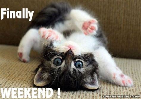 Finally weekends na!.. Time to catch .